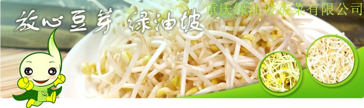 重慶綠豆芽蔬菜